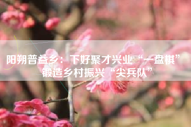 阳朔普益乡：下好聚才兴业“一盘棋” 锻造乡村振兴“尖兵队”