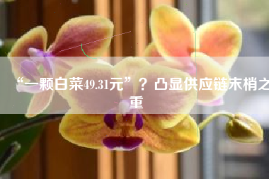 “一颗白菜49.31元”？凸显供应链末梢之重