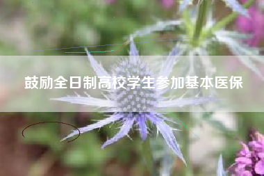 鼓励全日制高校学生参加基本医保
