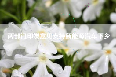 两部门印发意见支持新能源汽车下乡