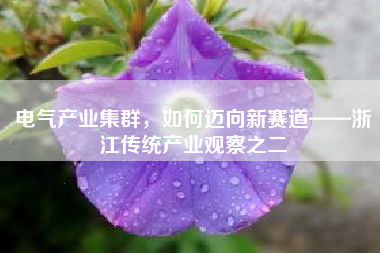 电气产业集群，如何迈向新赛道——浙江传统产业观察之二