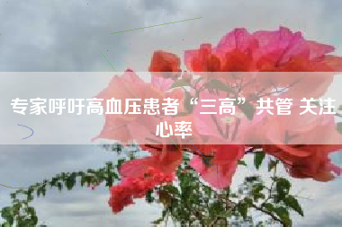 专家呼吁高血压患者“三高”共管 关注心率