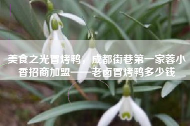 美食之光冒烤鸭，成都街巷第一家蓉小香招商加盟——老卤冒烤鸭多少钱