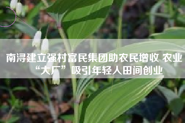 南浔建立强村富民集团助农民增收 农业“大厂”吸引年轻人田间创业