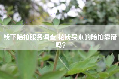 线下陪拍服务调查 花钱买来的陪拍靠谱吗？