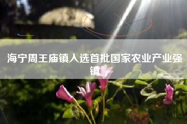 海宁周王庙镇入选首批国家农业产业强镇
