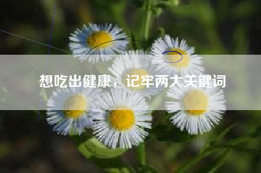 想吃出健康，记牢两大关键词