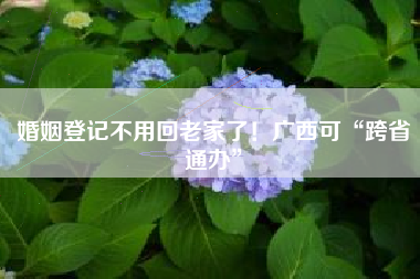 婚姻登记不用回老家了！广西可“跨省通办”