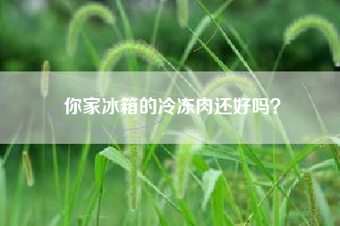 你家冰箱的冷冻肉还好吗？