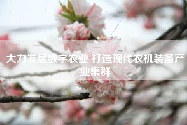 大力发展数字农业 打造现代农机装备产业集群