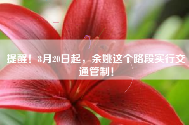 提醒！8月20日起，余姚这个路段实行交通管制！