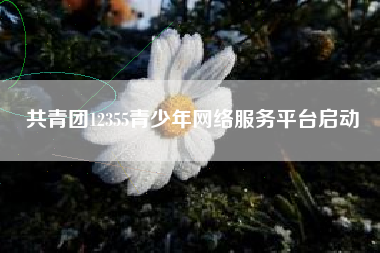 共青团12355青少年网络服务平台启动