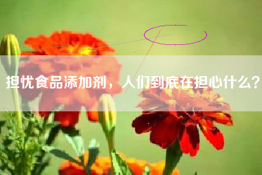 担忧食品添加剂，人们到底在担心什么？