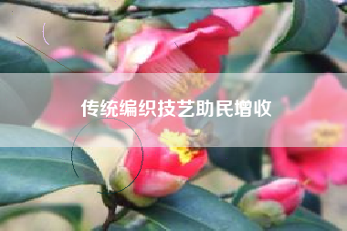 传统编织技艺助民增收