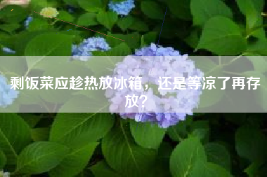 剩饭菜应趁热放冰箱，还是等凉了再存放？