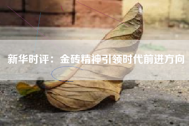 新华时评：金砖精神引领时代前进方向