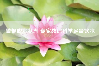 警惕脱水状态 专家教你科学足量饮水