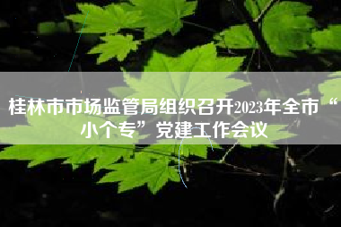 桂林市市场监管局组织召开2023年全市“小个专”党建工作会议