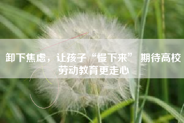 卸下焦虑,让孩子“慢下来” 期待高校劳动教育更走心