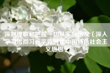 深刻理解和把握一切从实际出发（深入学习贯彻习近平新时代中国特色社会主义思想）