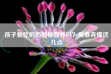 孩子爱吃的奶酪棒营养吗？需要弄懂这几点
