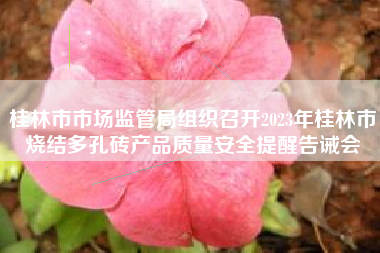 桂林市市场监管局组织召开2023年桂林市烧结多孔砖产品质量安全提醒告诫会