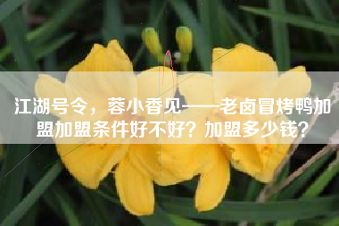 江湖号令，蓉小香见——老卤冒烤鸭加盟加盟条件好不好？加盟多少钱？