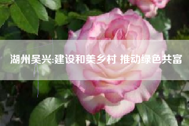 湖州吴兴:建设和美乡村 推动绿色共富