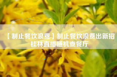 【制止餐饮浪费】制止餐饮浪费出新招 桂林直播随机查餐厅