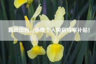 新政出台，余姚个人购房可享补贴！