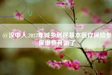 @汉中人,2023年城乡居民基本医疗保险参保缴费开始了