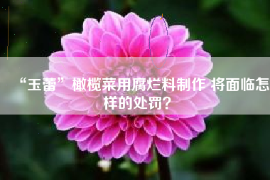 “玉蕾”橄榄菜用腐烂料制作 将面临怎样的处罚？