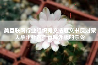 美互联网行业组织提交法庭文书反对蒙大拿州针对抖音海外版的禁令