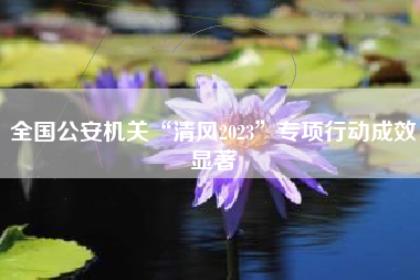 全国公安机关“清风2023”专项行动成效显著