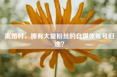 离婚时，拥有大量粉丝的自媒体账号归谁？