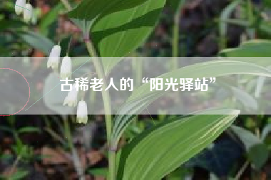 古稀老人的“阳光驿站”