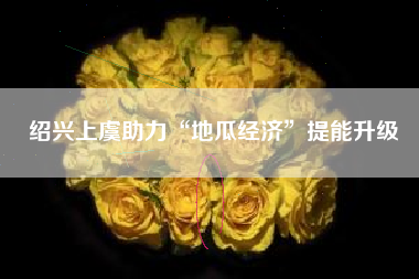 绍兴上虞助力“地瓜经济”提能升级