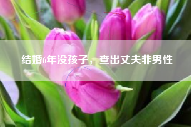 结婚6年没孩子，查出丈夫非男性