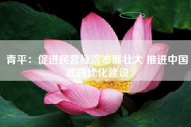 青平：促进民营经济发展壮大 推进中国式现代化建设