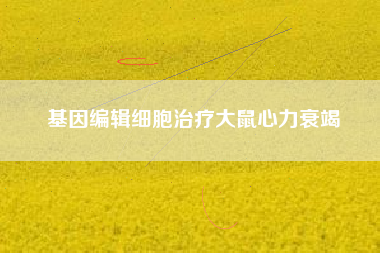 基因编辑细胞治疗大鼠心力衰竭