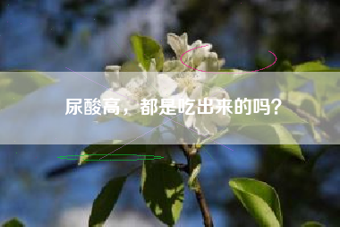 尿酸高，都是吃出来的吗？