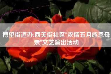 博望街道办:西关街社区