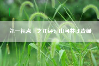 第一视点丨之江评：山河共此青绿