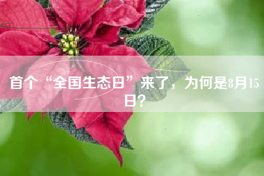 首个“全国生态日”来了，为何是8月15日？