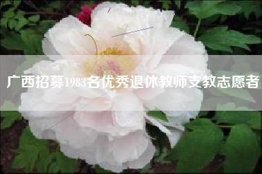 广西招募1983名优秀退休教师支教志愿者