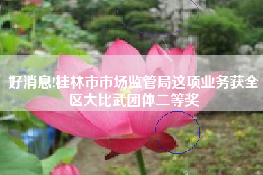 好消息!桂林市市场监管局这项业务获全区大比武团体二等奖