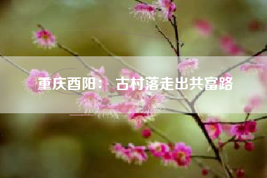 重庆酉阳： 古村落走出共富路