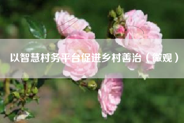 以智慧村务平台促进乡村善治（微观）