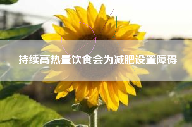 持续高热量饮食会为减肥设置障碍