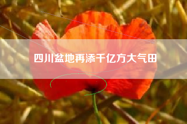四川盆地再添千亿方大气田